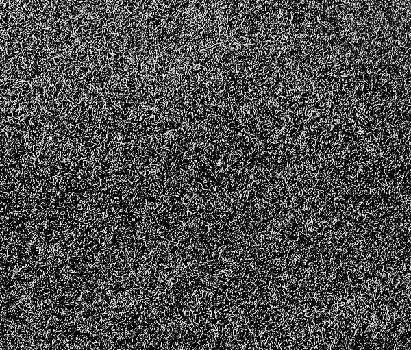 1969 1970 69 70 Mustang Convertible Black Carpet Cut Pile MSCC6970-2