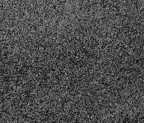 BLACK CARPET 1969-70 MUSTANG/COUGAR CONV CUT PILE